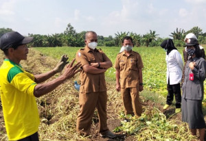 Pemkab Bojonegoro bertekad Wujudkan petani Sejahtera dan berdaya melalui Program Petani Mandiri